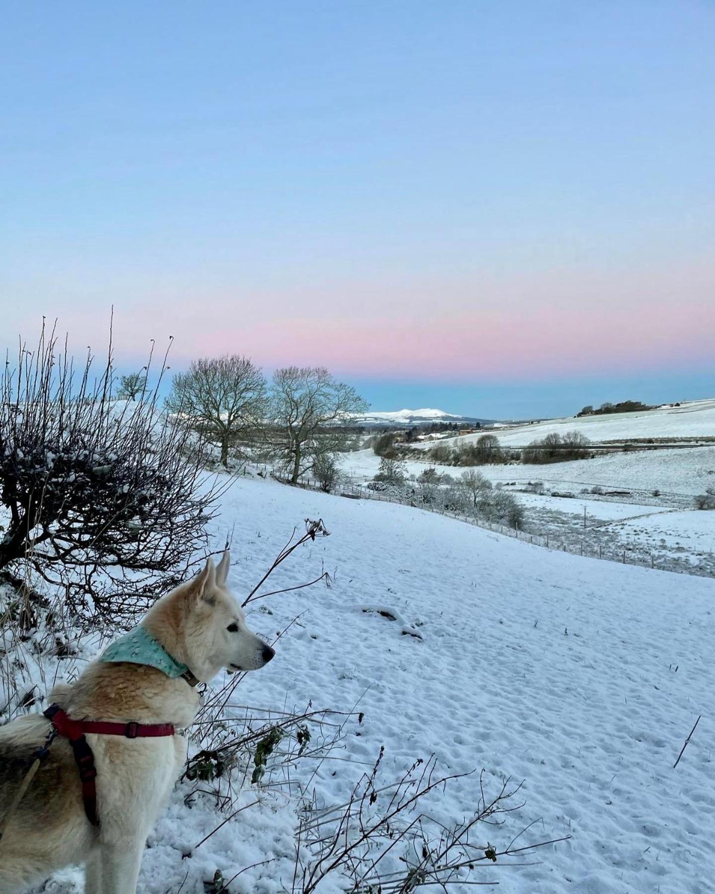 Borthwick Farm Cottage Annex Gorebridge ภายนอก รูปภาพ